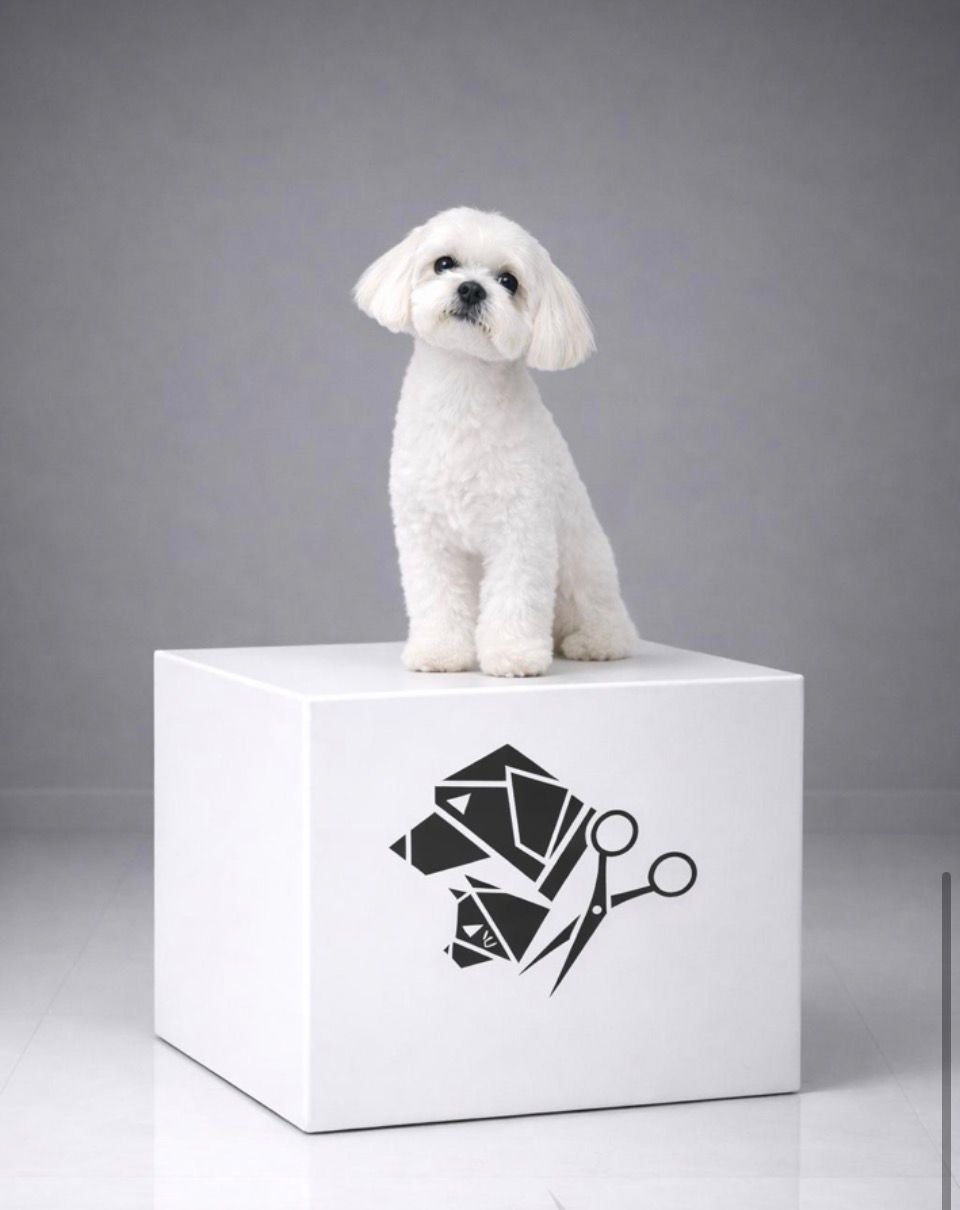Resultado de peluquería canina con acabado natural